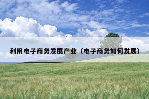 利用电子商务发展产业（电子商务如何发展）