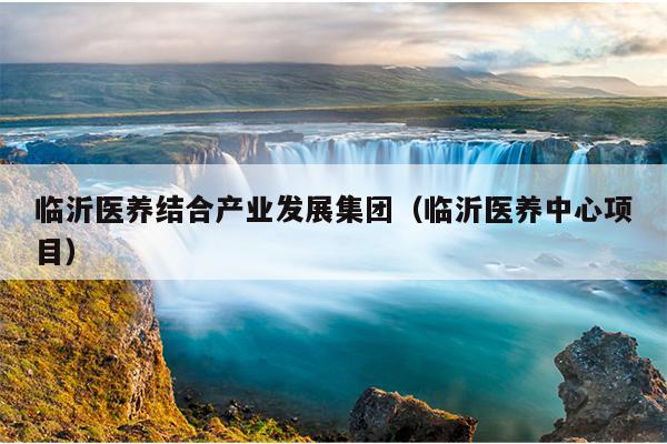 临沂医养结合产业发展集团（临沂医养中心项目）