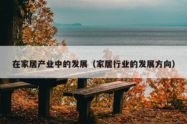 在家居产业中的发展（家居行业的发展方向）
