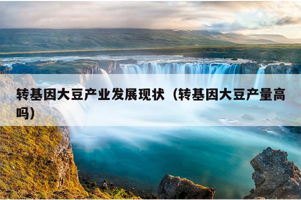 转基因大豆产业发展现状（转基因大豆产量高吗）