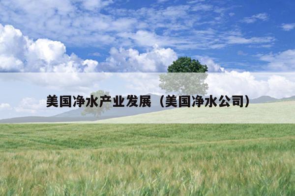 美国净水产业发展（美国净水公司）