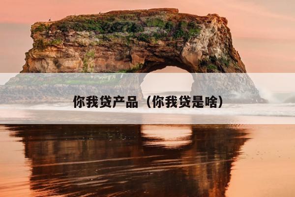 你我贷产品（你我贷是啥）