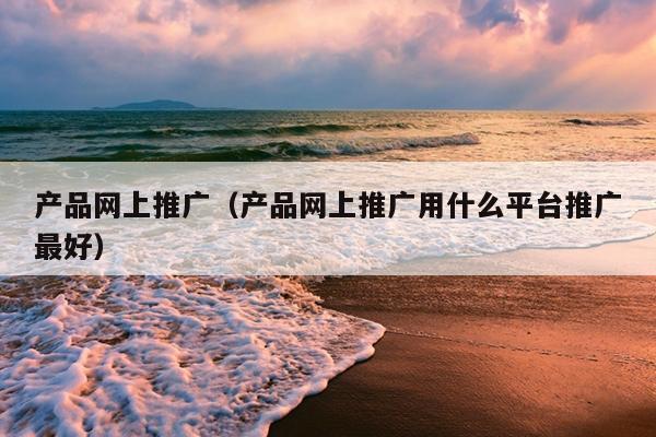 产品网上推广（产品网上推广用什么平台推广最好）