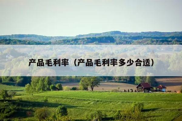 产品毛利率（产品毛利率多少合适）